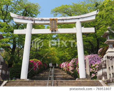 Higashiyama, Kyoto, Hirado Tsutsuji of Munetada Shrine Higashiyama, Kyoto, Hirado Tsutsuji of Munetada Shrine 76951807