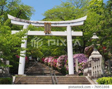 Higashiyama, Kyoto, Hirado Tsutsuji of Munetada Shrine 76951808