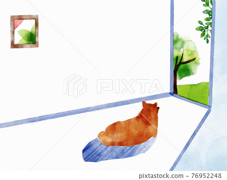 柴犬和窗台 柴犬和窗台 76952248