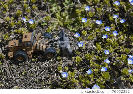 輪式裝載機破壞花田 輪式裝載機破壞花田 76952252