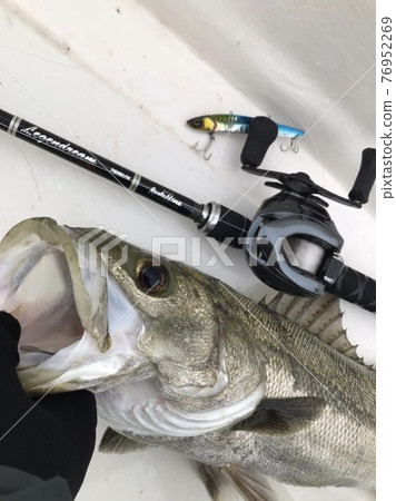 海上捕魚 76952269