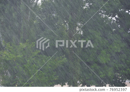 Rain on the background of trees 76952397