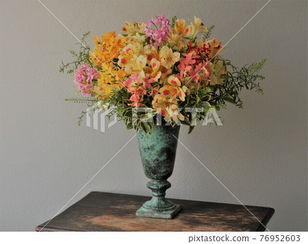 Epidendoramu Epidendoramu 76952603