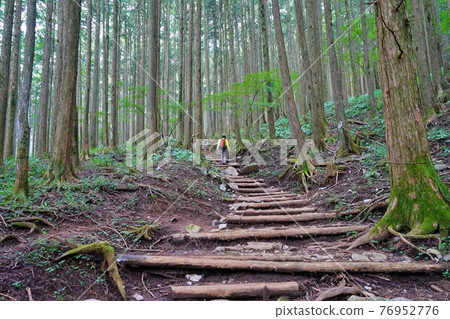 Climbers walking in the forest belt of Mt. Buko Climbers walking in the forest belt of Mt. Buko 76952776