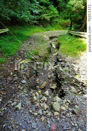 Mt. Buko's carved forest road 76953371