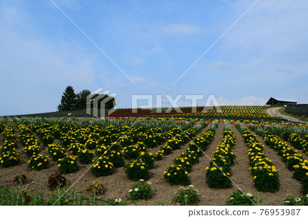 Kan farm Kan farm 76953987