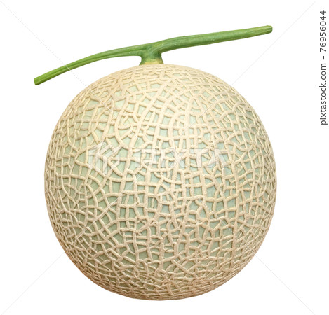 Melon illustration realistic 76956044