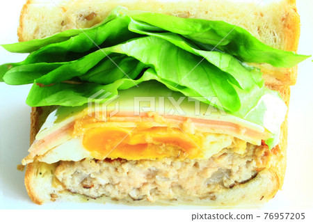Sandwich 76957205