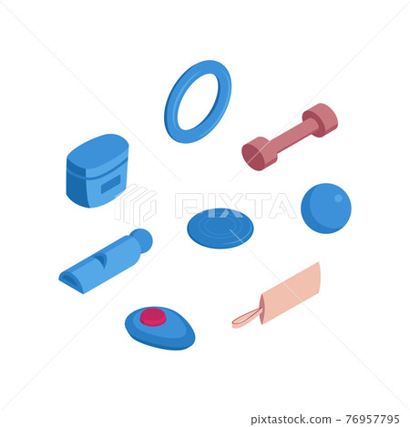 Dog Training Accessories Composition 76957795