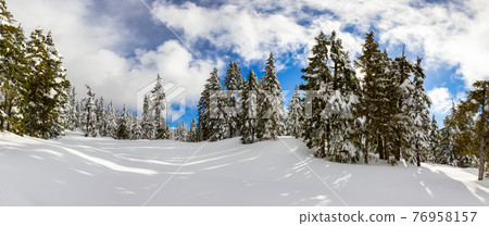 Panoramic View of Canadian Nature Landscape Panoramic View of Canadian Nature Landscape 76958157