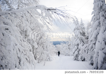 Winter hiking trek 76959109