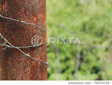 Close-up of a pillar on which a barbed wire is stretched with sharp thorns located on it against a background of growing greenery. 76959189