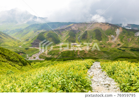 Raichosawa and Raichosawa Campgrounds overgrown with urajirotade in the cloudy sky 76959795