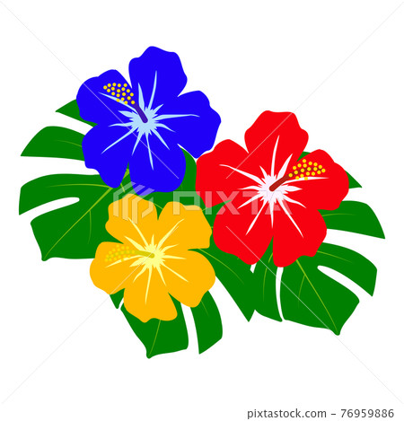 Hibiscus and Monstera 76959886