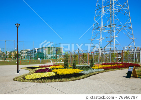 Colorful flower beds and blue sky in the new Miyamae Park New Park Colorful flower beds and blue sky in the new Miyamae Park New Park 76960787