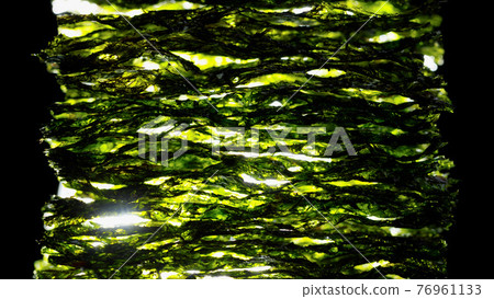 dried nori seaweed laminaria sheets dried nori seaweed laminaria sheets 76961133