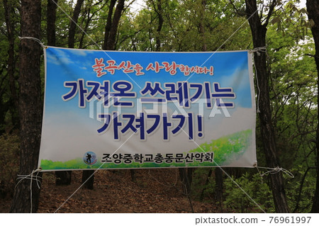 Bulgoksan Mountain. Yangju City. Pine Tree. Transmission Tower. Peak 76961997