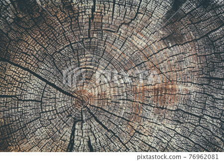 Old cracked stump 76962081
