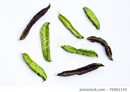 Winged bean on white background. Winged bean on white background. 76962143
