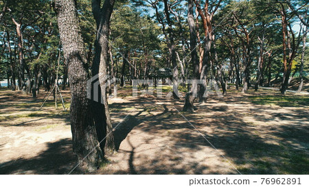 慶尚南道河東市松林公園的下上亭 慶尚南道河東市松林公園的下上亭 76962891