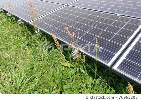 雜草叢生的太陽能發電廠 雜草叢生的太陽能發電廠 76963298