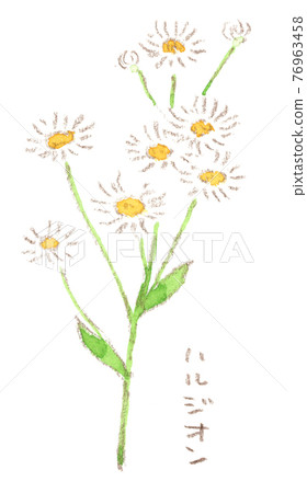 春路上盛開的美麗花朵:哈爾齊翁水彩插畫 春路上盛開的美麗花朵:哈爾齊翁水彩插畫 76963458