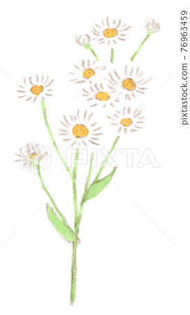 Pretty flowers blooming along the spring road: watercolor illustration of Halzion 76963459