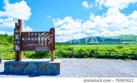 Summer Yashimagahara Wetland (Yashimagahara Wetland) 76963622