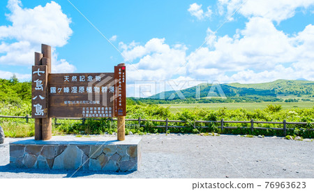 Summer Yashimagahara Wetland (Yashimagahara Wetland) 76963623