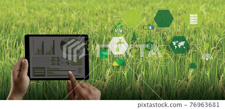 agriculture technology concept man Agronomist Using a Tablet in an Agriculture Field read a report integrate artificial intelligence machine learning technology  5G 76963681