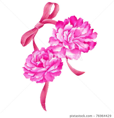一個簡單的絲帶和康乃馨的插圖 76964429