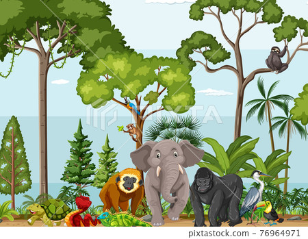 Rainforest scene with wild animals 76964971