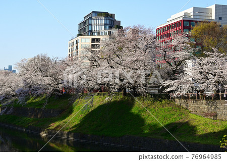 Chiyoda-ku, Tokyo Chidorigafuchi Spring cherry blossoms in full bloom (Italian Cultural Institute) Chiyoda-ku, Tokyo Chidorigafuchi Spring cherry blossoms in full bloom (Italian Cultural Institute) 76964985