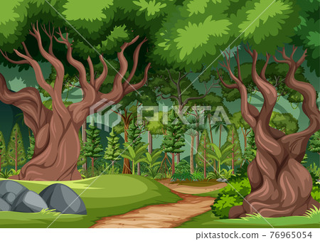 Forest scene with hiking track and many trees - Stock Illustration ...
