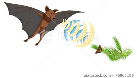 Echolocation in bats isolated on white background 76965199