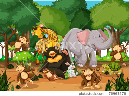 Wild animals in the jungle 76965276