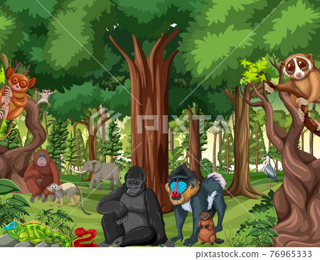 Rainforest scene with wild animals Rainforest scene with wild animals 76965333