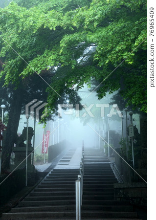 邁奧肯山，通往新鮮綠色的道路 76965409