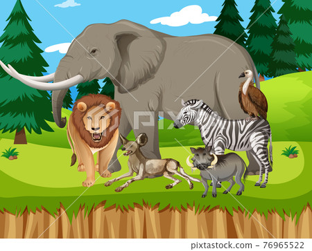 Group of wild african animal in the forest scene 76965522