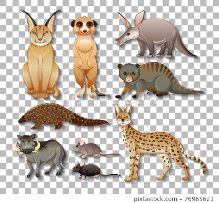 Set of isolated wild african animals on transparent background 76965621