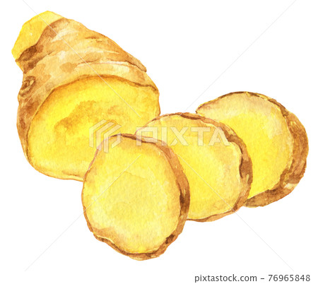 Watercolor ginger _ slice 76965848