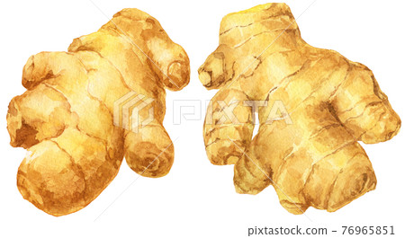 Watercolor ginger_two big chunks Watercolor ginger_two big chunks 76965851