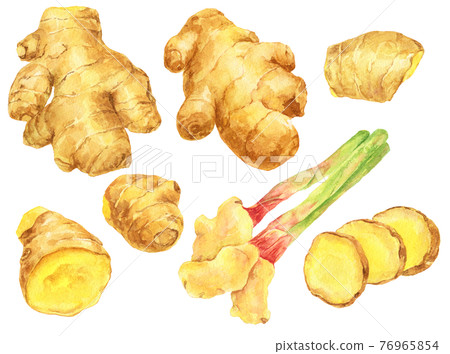 Watercolor ginger_material collection 76965854
