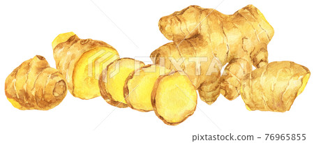 Watercolor ginger _ side by side 76965855