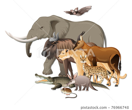 Group of wild African animals on white background 76966748