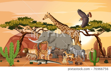 Group of Wild African Animal in the forest scene 76966756