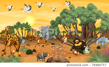 African animal in the forest landscape at sunset time 76966757
