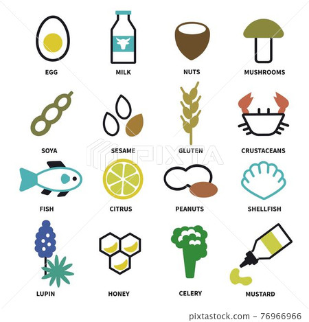 Large set of icons with the main allergens in food Large set of icons with the main allergens in food 76966966