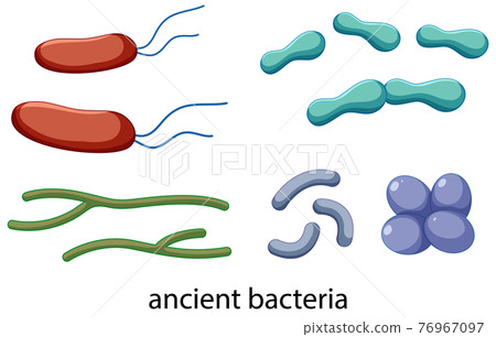 Ancient bacteria icons set isolated on white background Ancient bacteria icons set isolated on white background 76967097