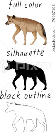 Set of hyena in color, silhouette and black outline on white background 76967108